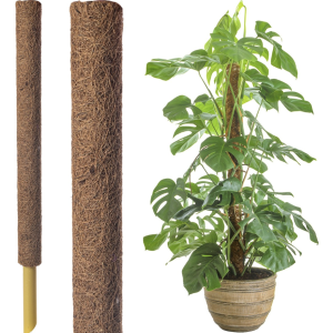 Coir Stake